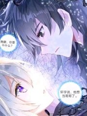 pr九天狐科技升级版